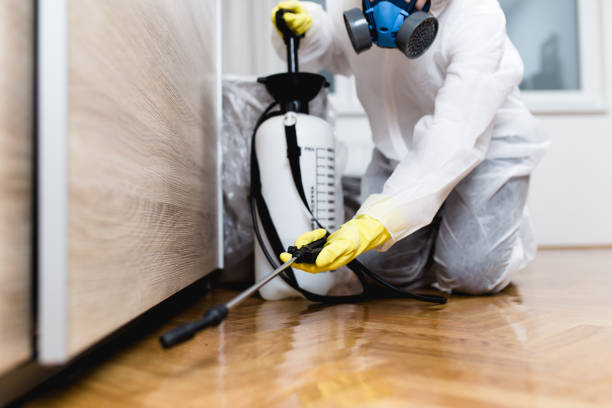 Flea Control Services in Pomona, KS