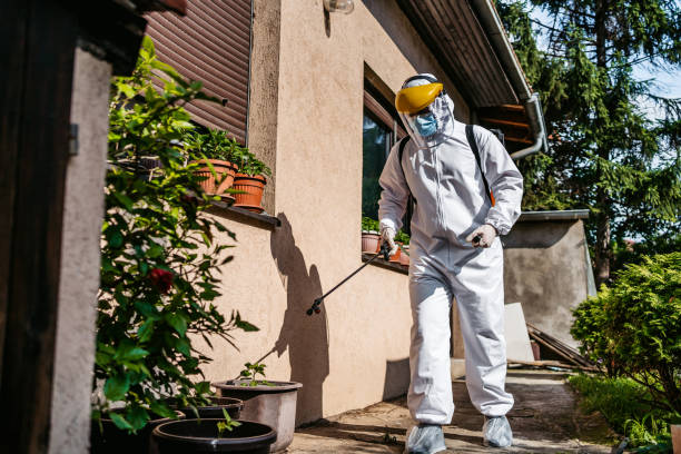 Professional Pest Control in Pomona, KS