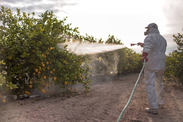Best Wasp Removal Services  in Pomona, KS
