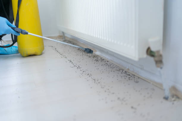Best Cockroach Control Services  in Pomona, KS