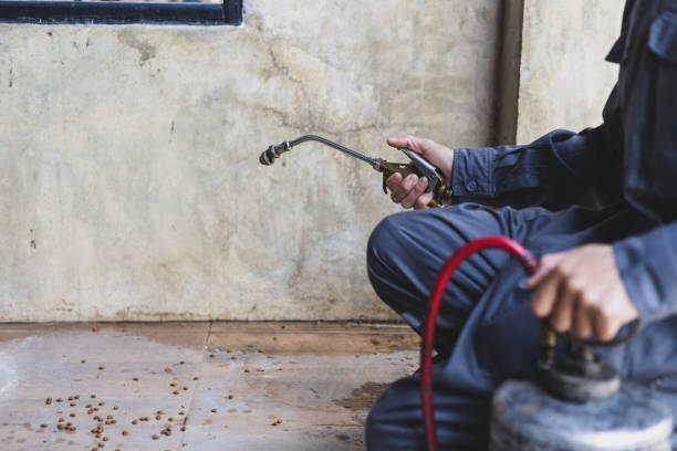 Best Best Pest Control Companies  in Pomona, KS
